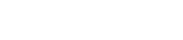 VIVA555 LOGO